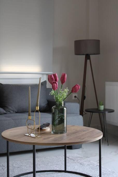 Apartament K&M 40 Ekklision A' Dráma Zewnętrze zdjęcie